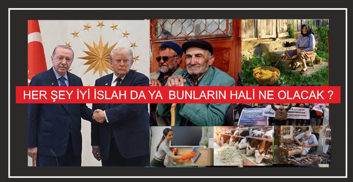 Her şey iyi ıslah da bunların hali ne olacak   ?....