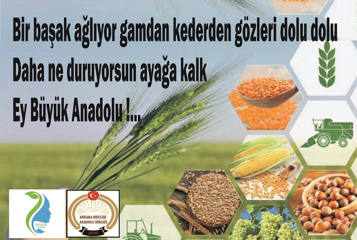 Anadolu’yu bir baştan diğer başa gezmiş ve senelerce yazmış bir gazeteci-yazar olarak öncelikle öğrendiklerimi bu haber sitesinde yayınlamayı bir görev saydım.